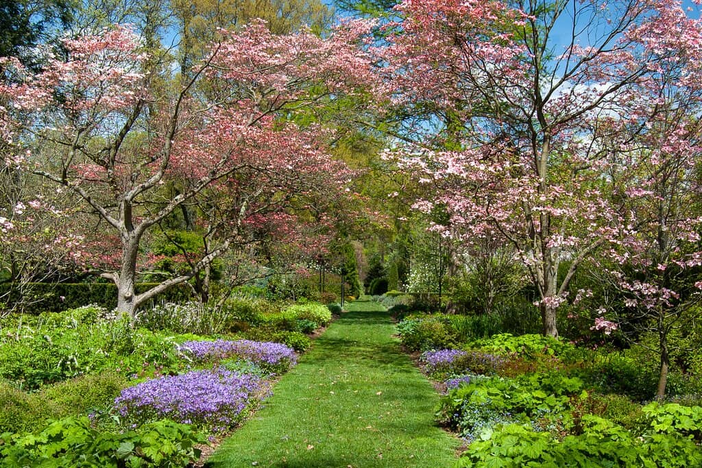 Delaware Riverfront Gardens