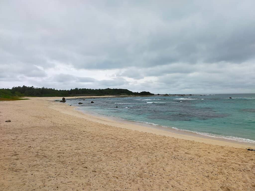 Abundant Marine Life