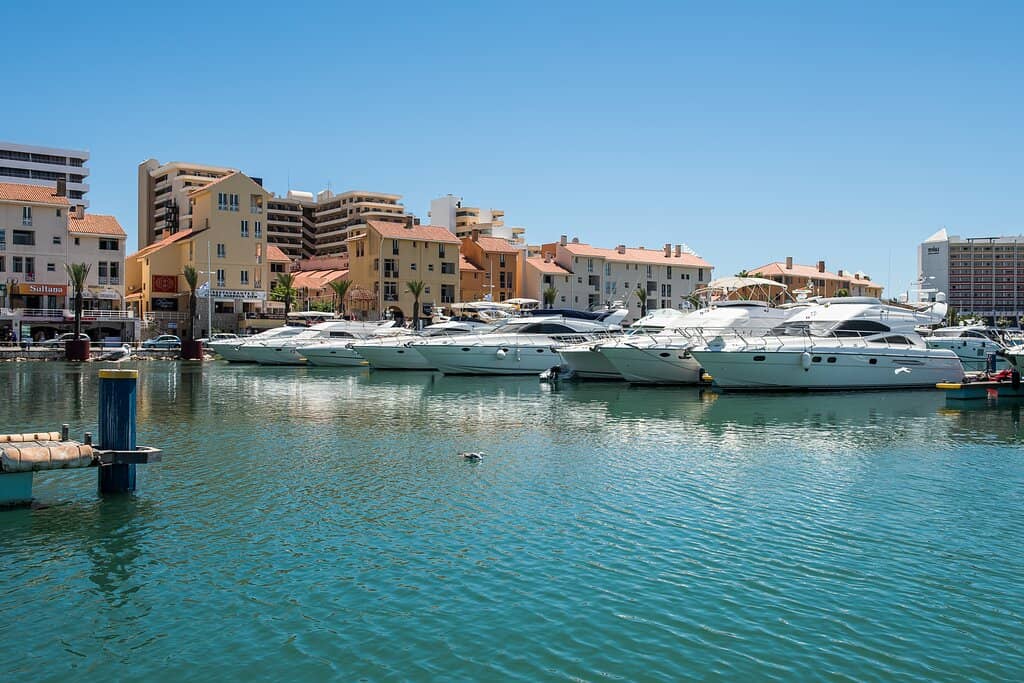 Gastronomic Delights