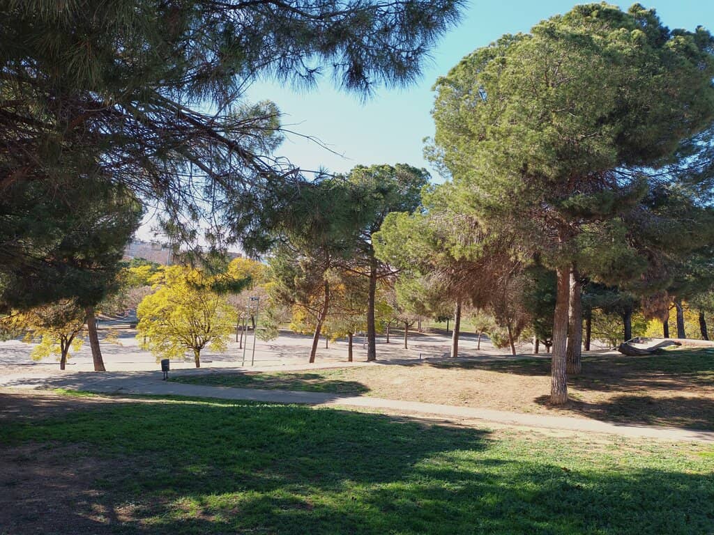 Kid-Friendly Play Areas