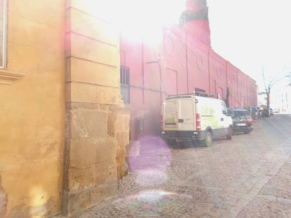 Calleja de las Flores