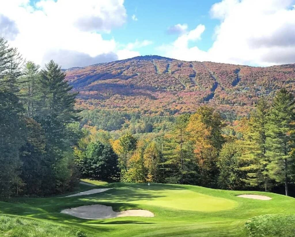 Immaculate Conditions