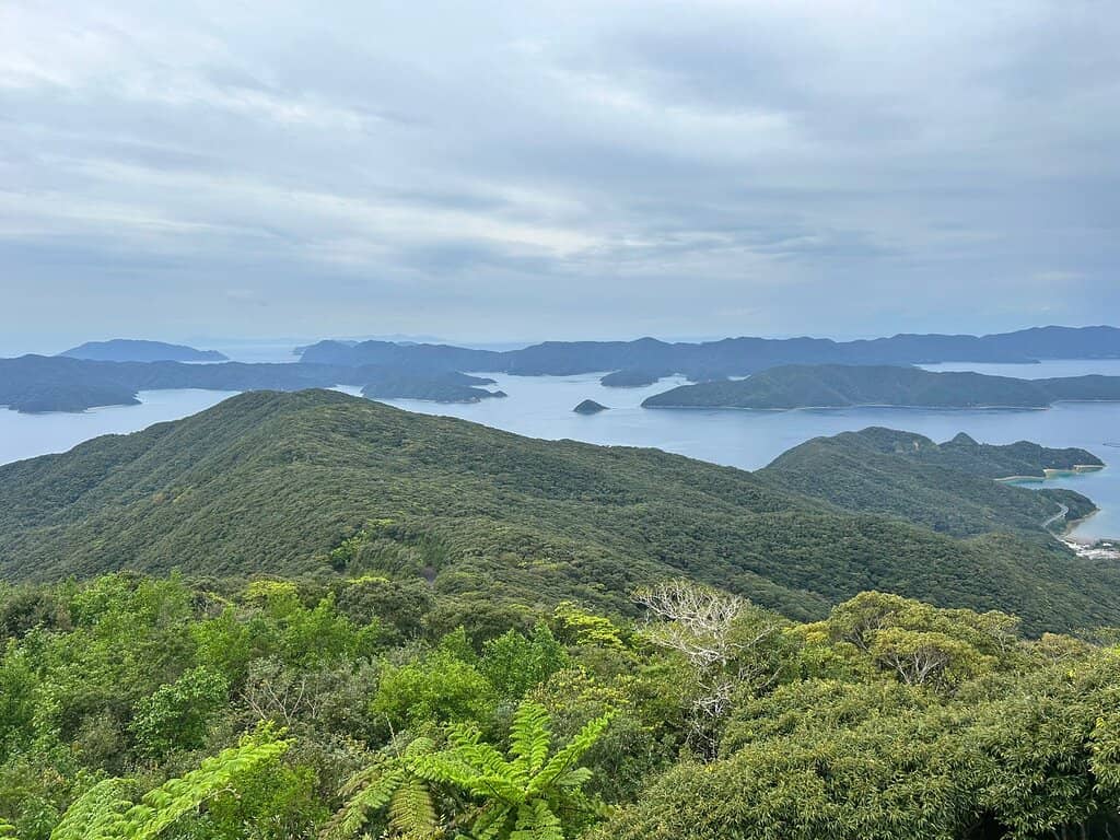 Moody Cloud-Filtered Light