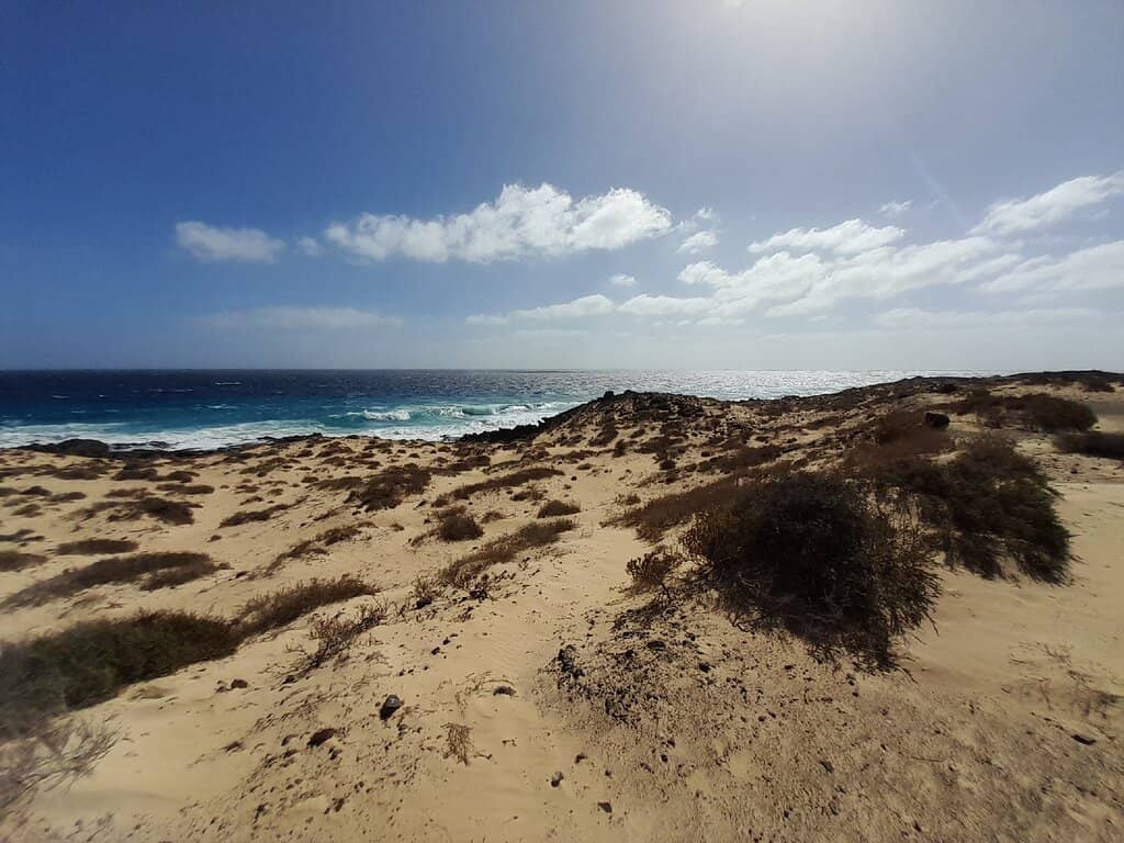 Vast Sand Dunes