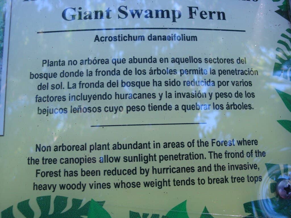 Educational Nature Plaques