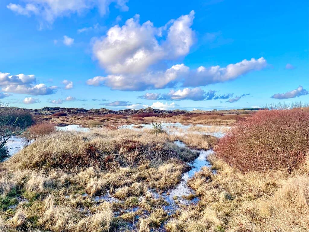 Hackly Bay Coastal Walk