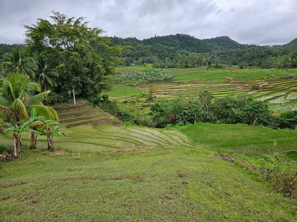 Hilltop Viewpoint Trek