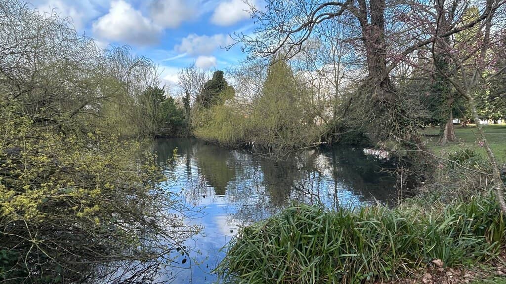 Seasonal Pop-Up Shops