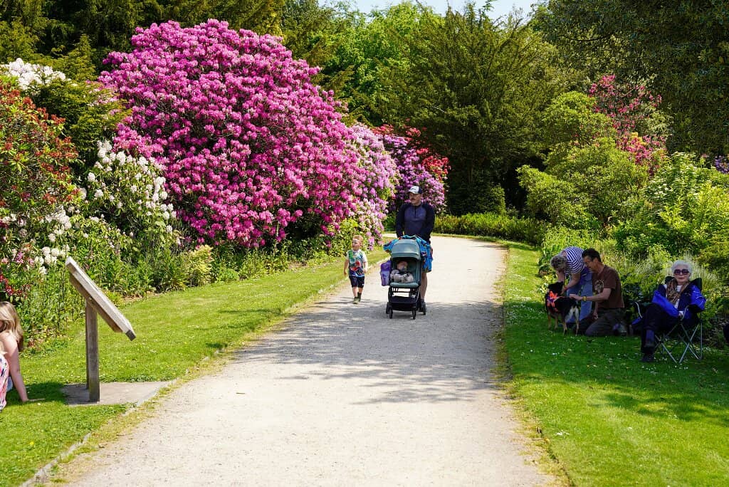 Serene Gardens
