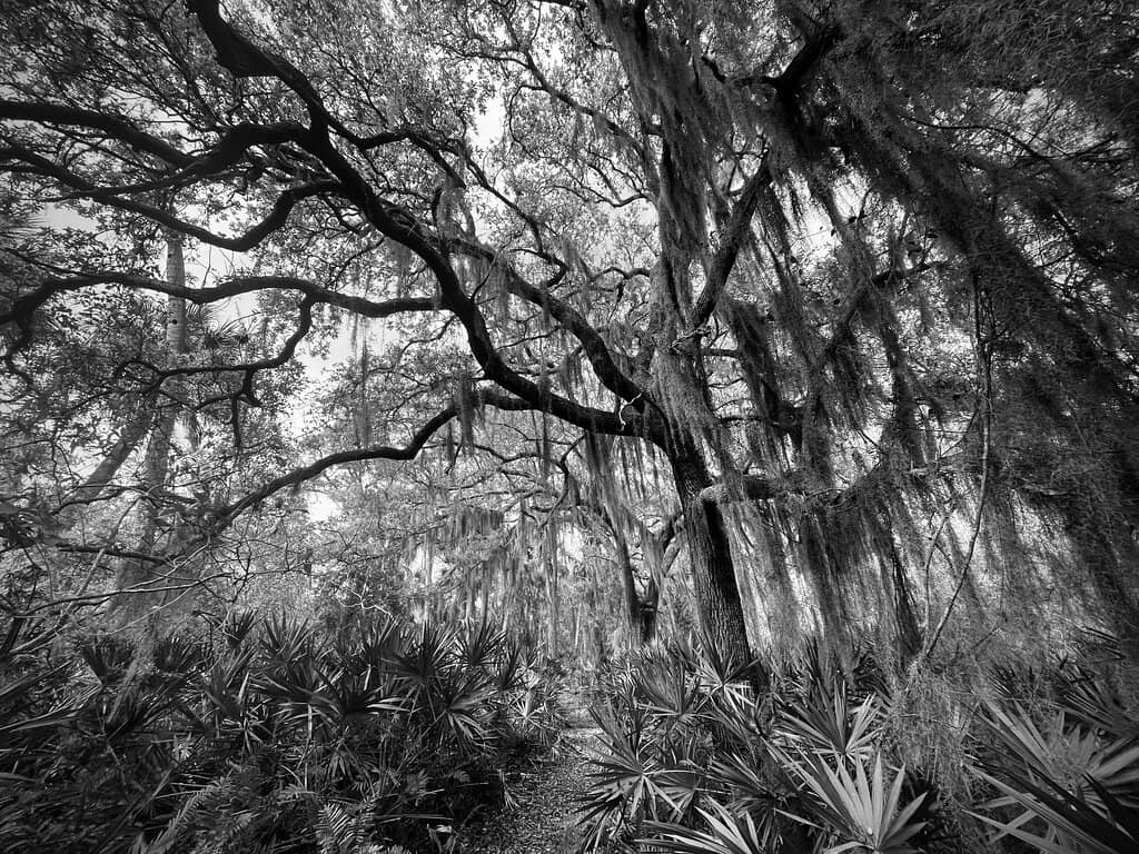 Hiking and Birdwatching Trails