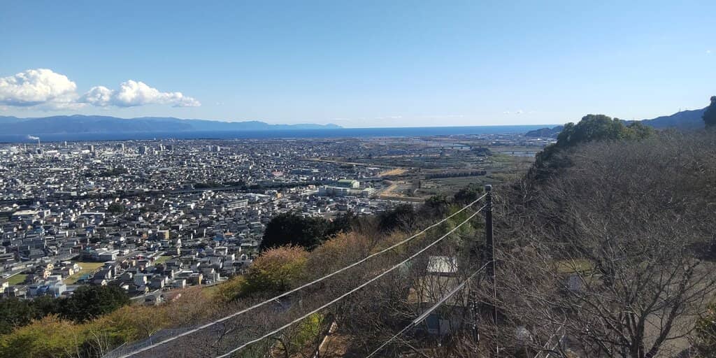 Cherry Blossom Spectacle