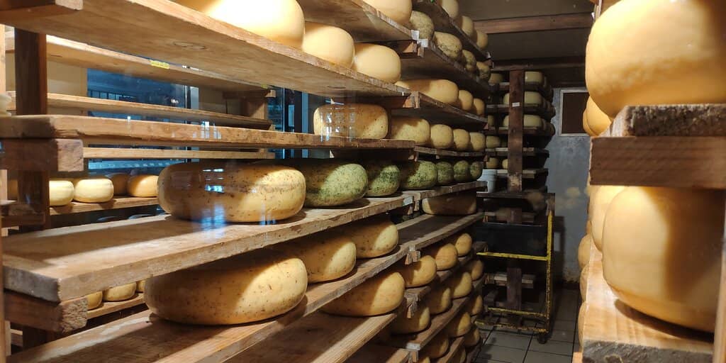 The Terrace Dining Experience