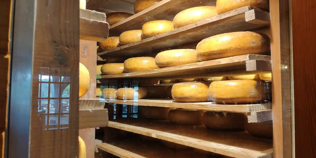 Scenic Hiking Trails