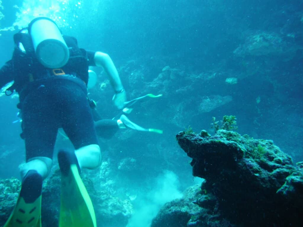 Vibrant Reefs