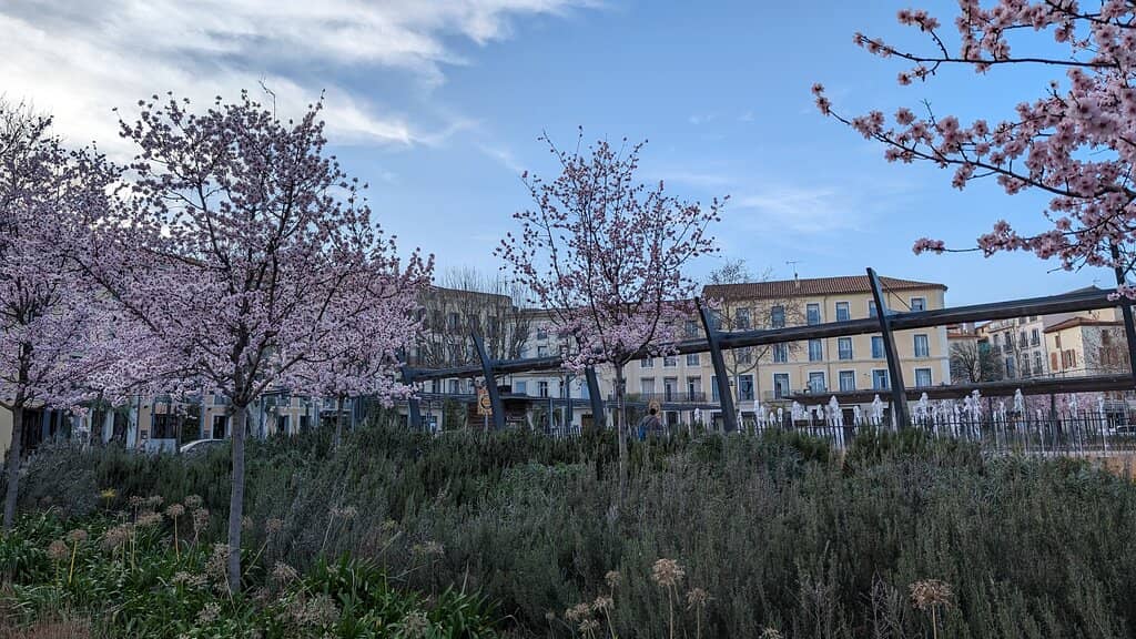 Children's Play Area