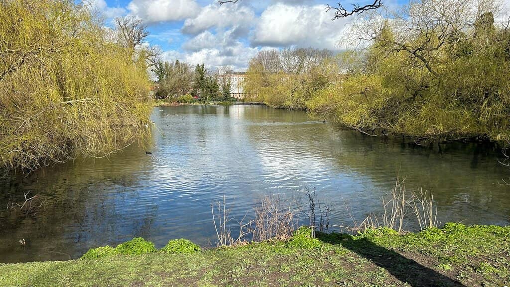 Children's Playground