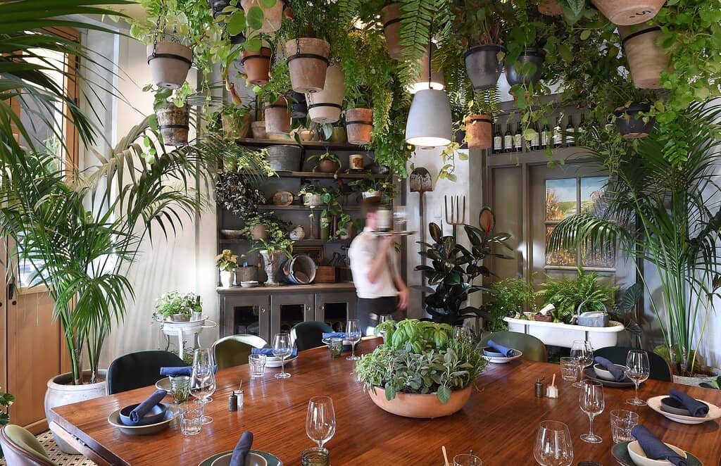 Charming Poolside Ambiance