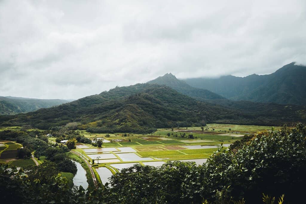 Mountain Backdrop