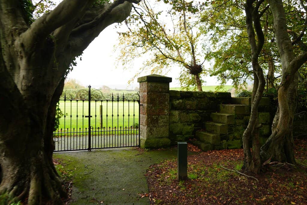 Friary Ruins