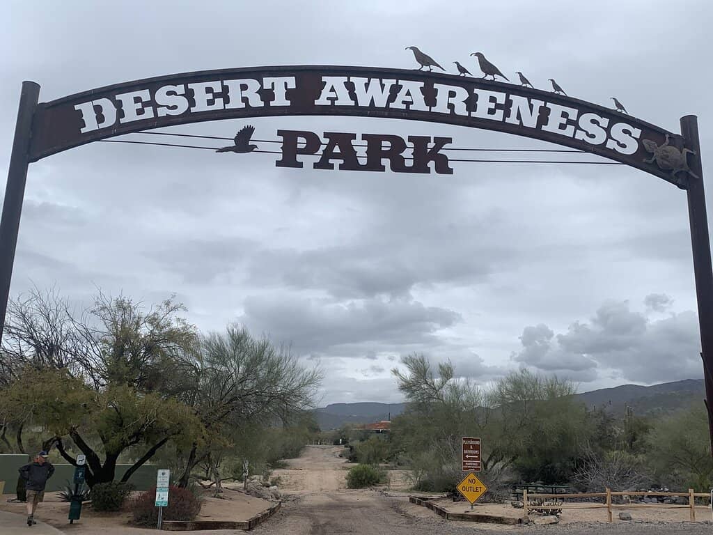 Educational Desert Walks