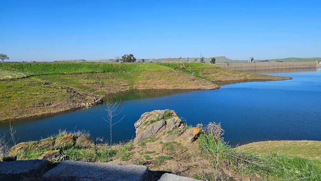 Pincushion Peak Trail