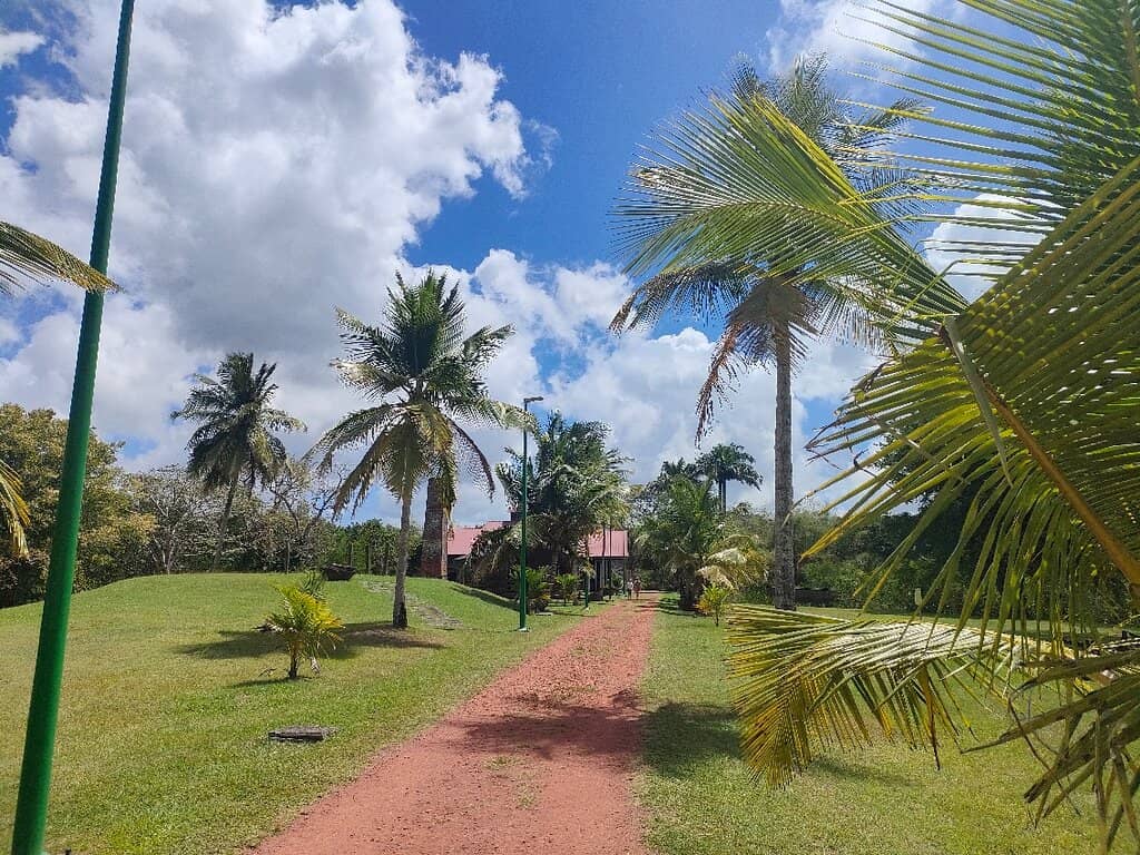 Rum Production Insights