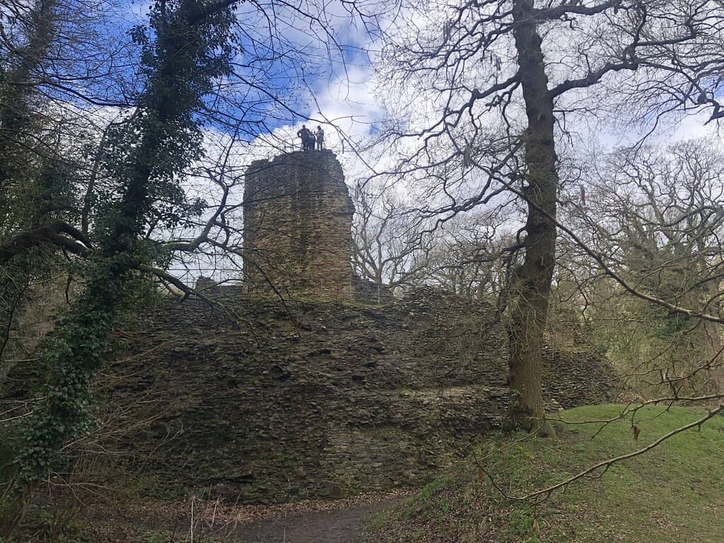 Woodland Walk