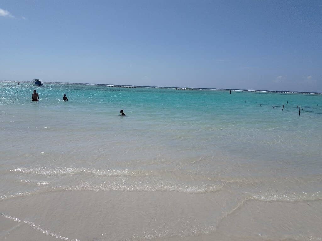 Waterfront Dining Experiences