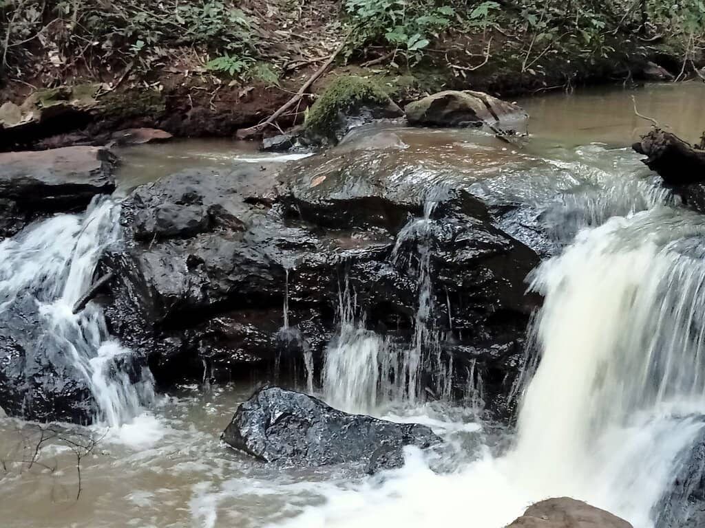 Nature Trails