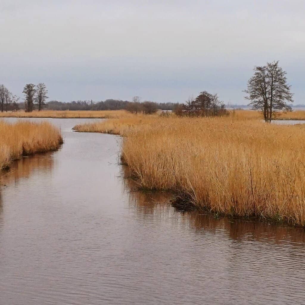 Weerribben-Wieden National Park