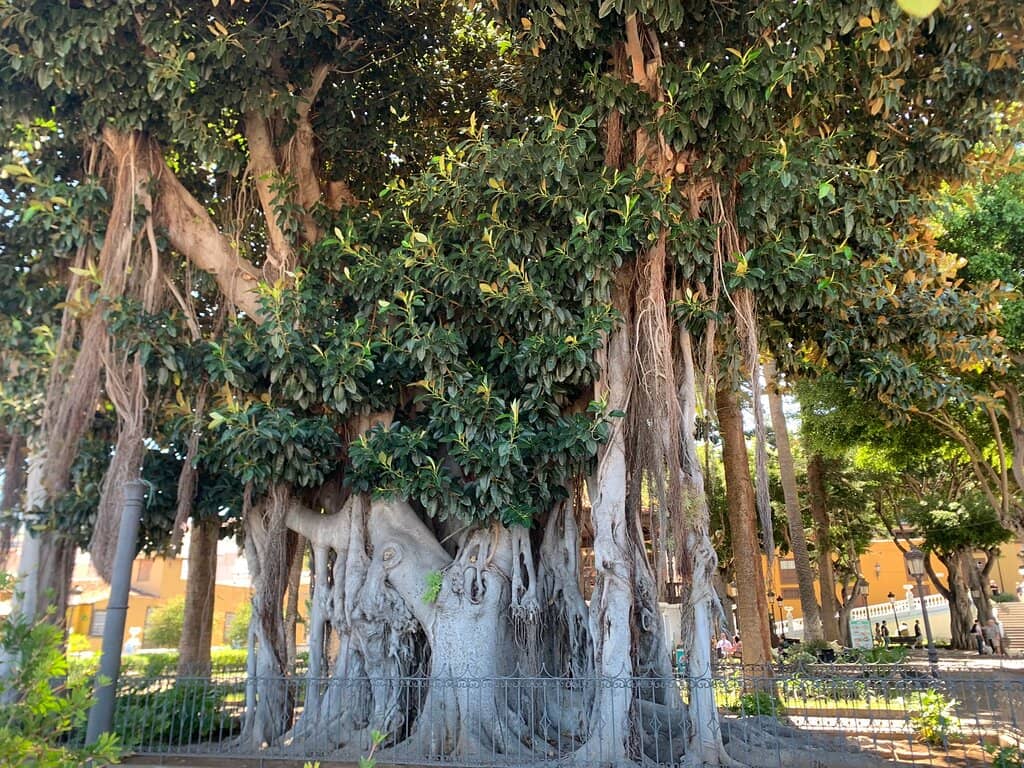 Architectural Distinctiveness