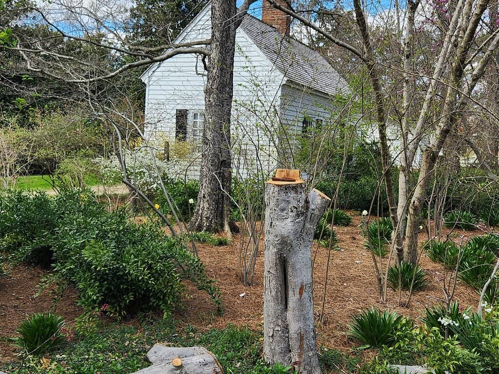 Wedding Grove Tradition