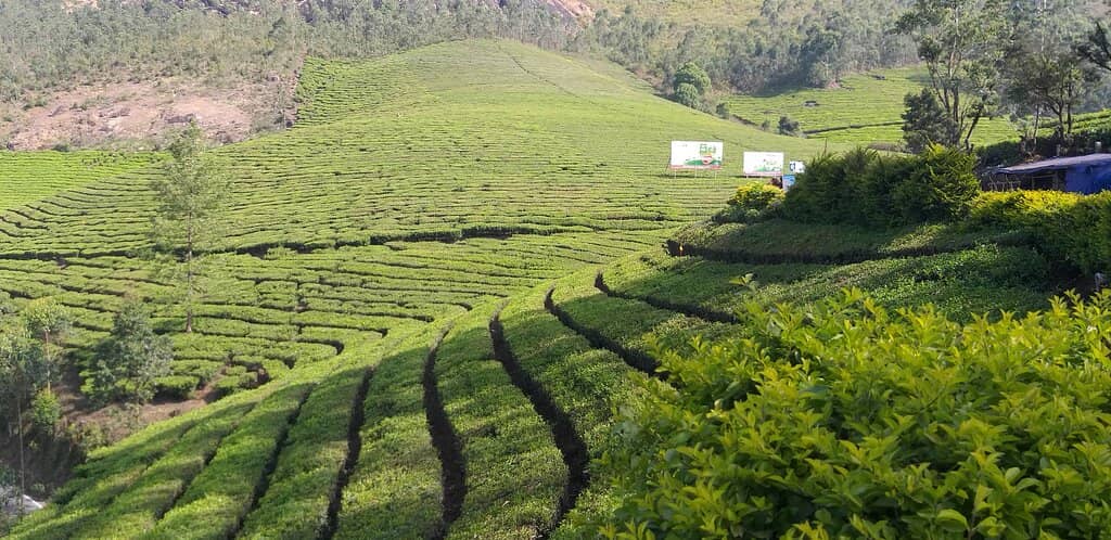 Munnar Photo Point