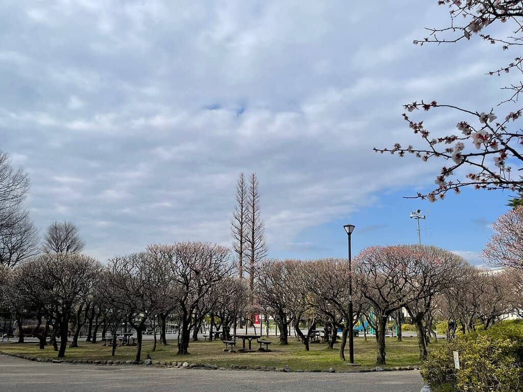 Edo Kano School Paintings