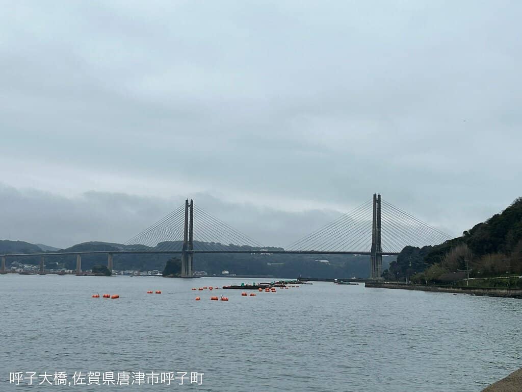 Panoramic Coastal Scenery