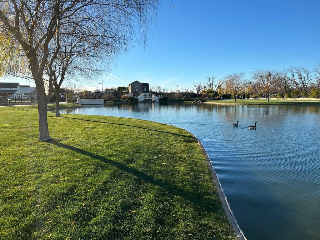 Vibrant Farmers Market