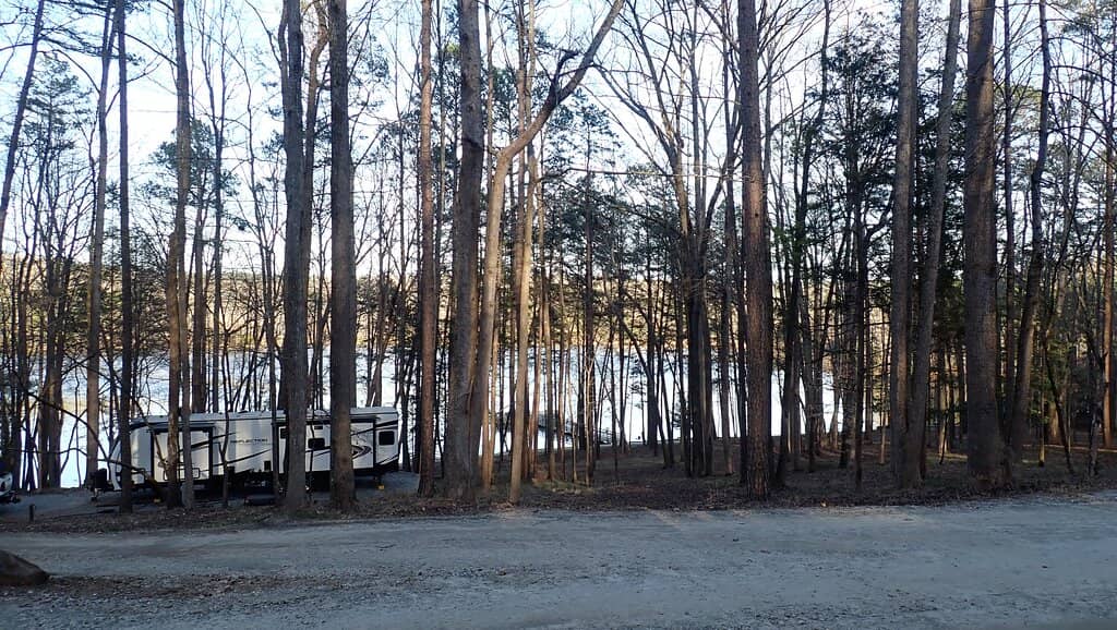 Equestrian Adventures