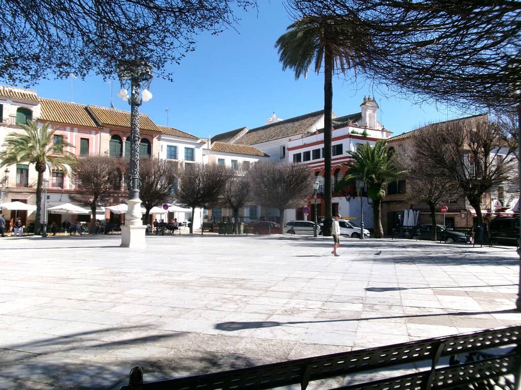 Vibrant Terrace Culture