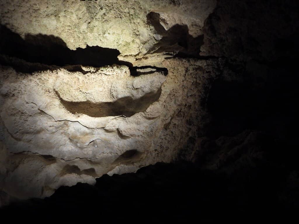 Guided Educational Tours