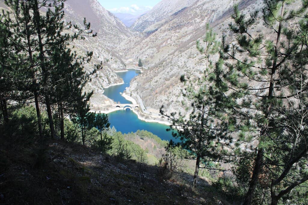Vertical photo