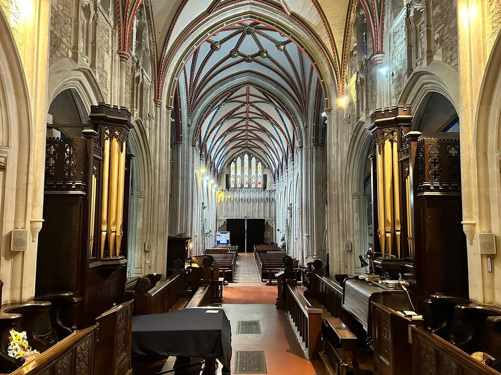 Peaceful Contemplation