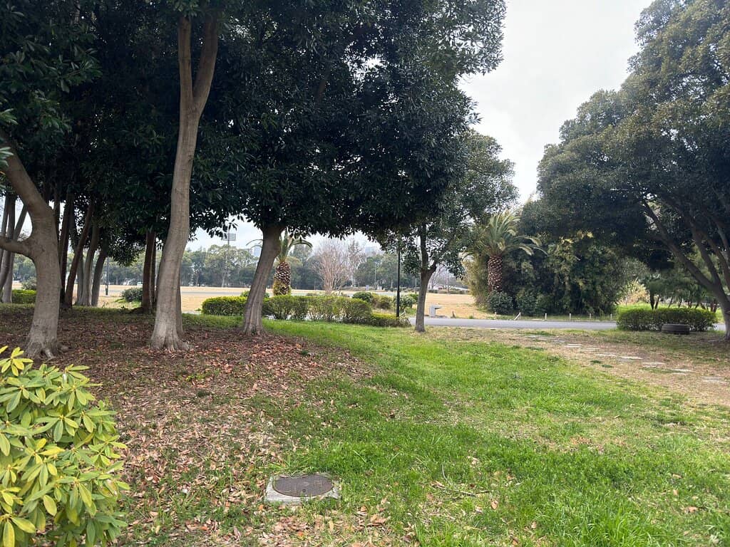 Sports Complex & Skate Park