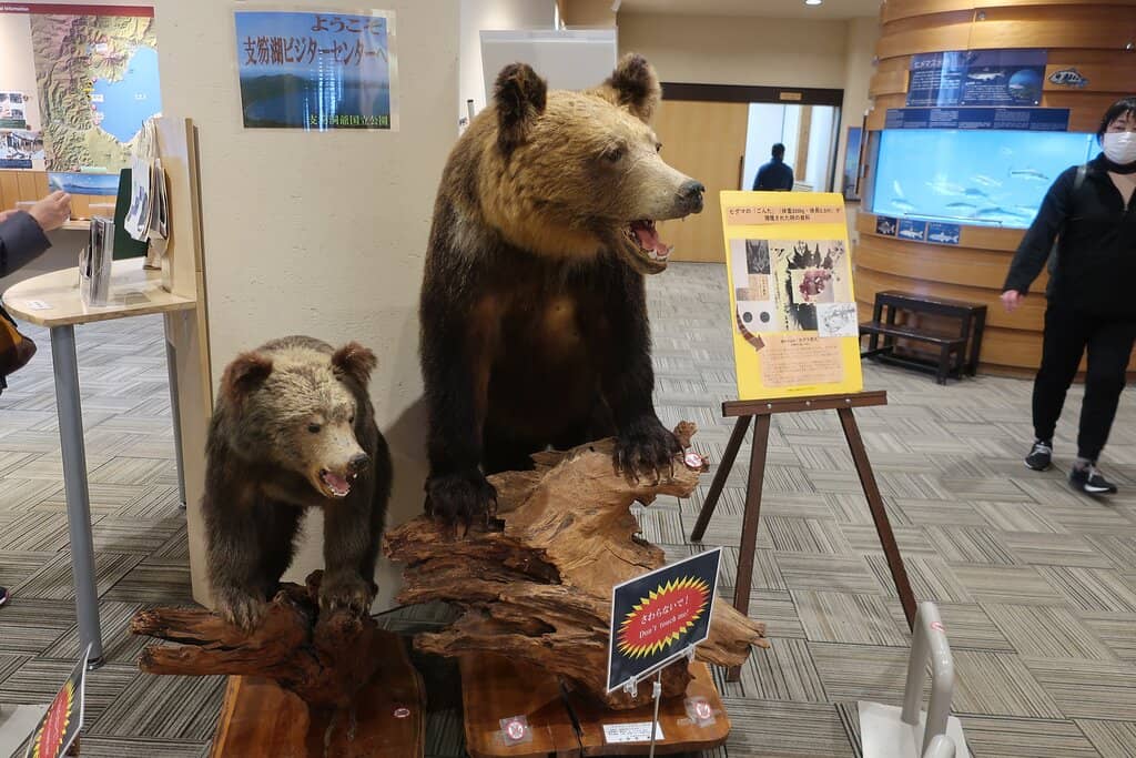 Visitor Center Exhibits