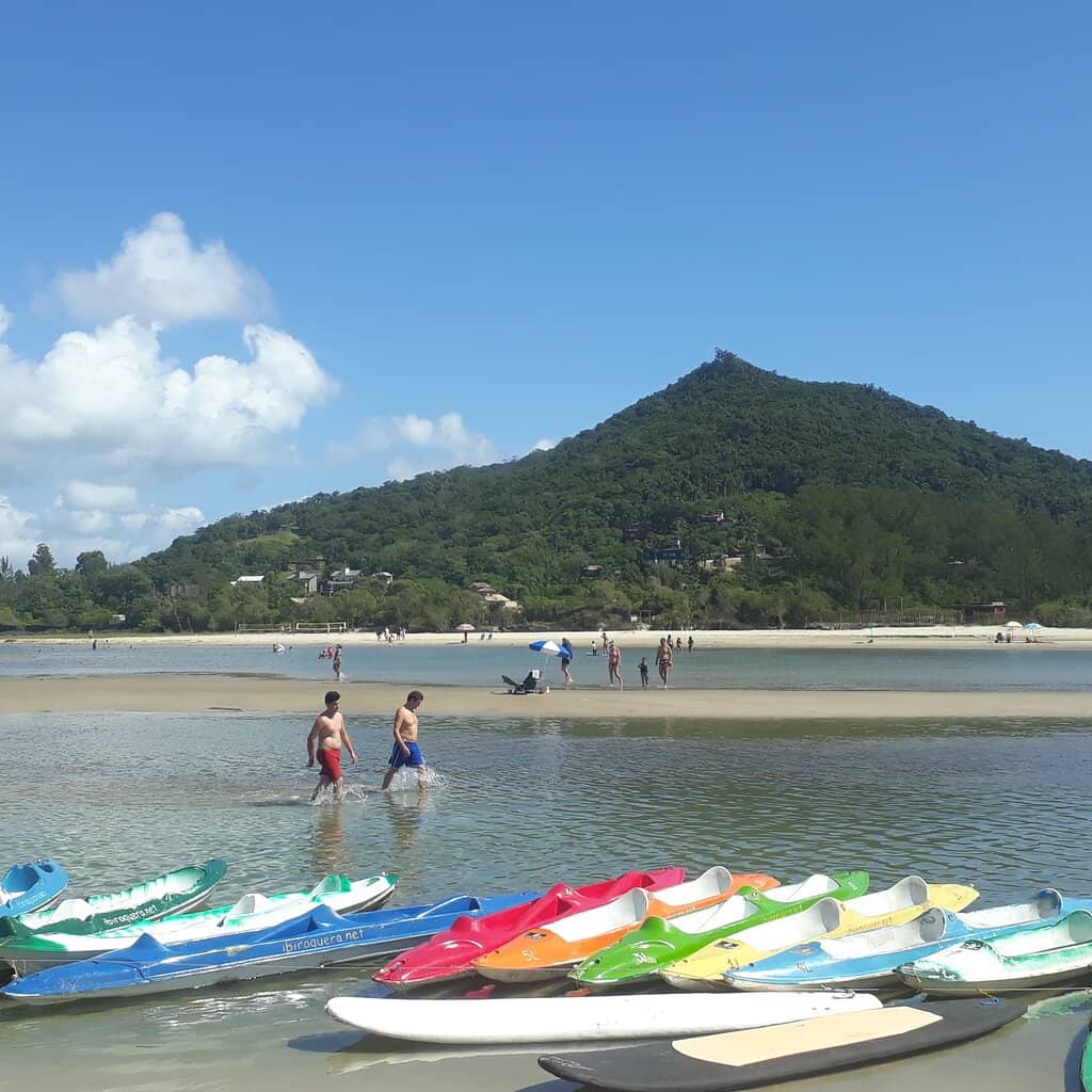 Abundant Marine Life