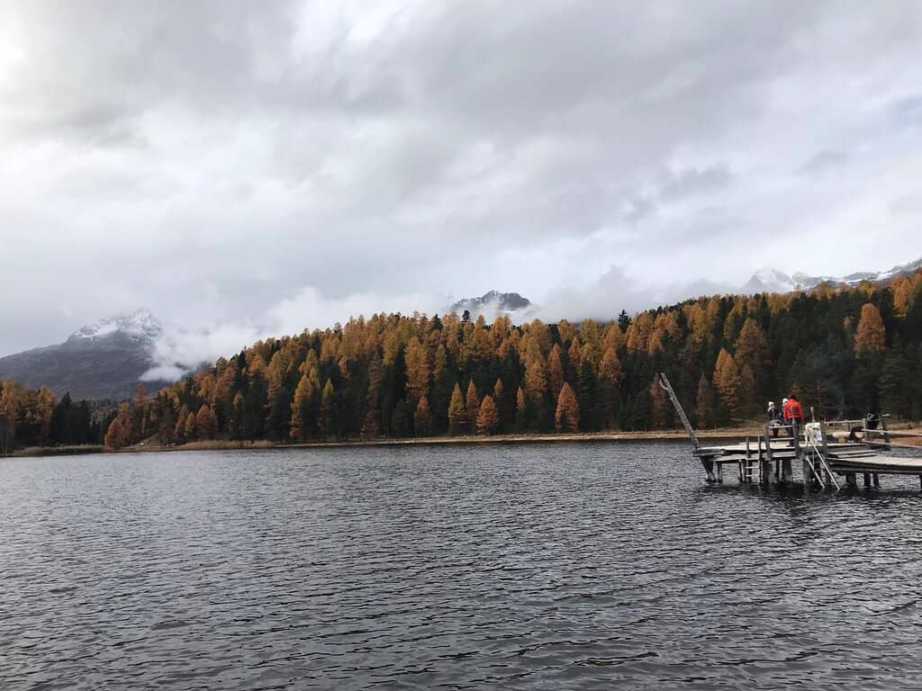 Peaceful Lakeside Stroll