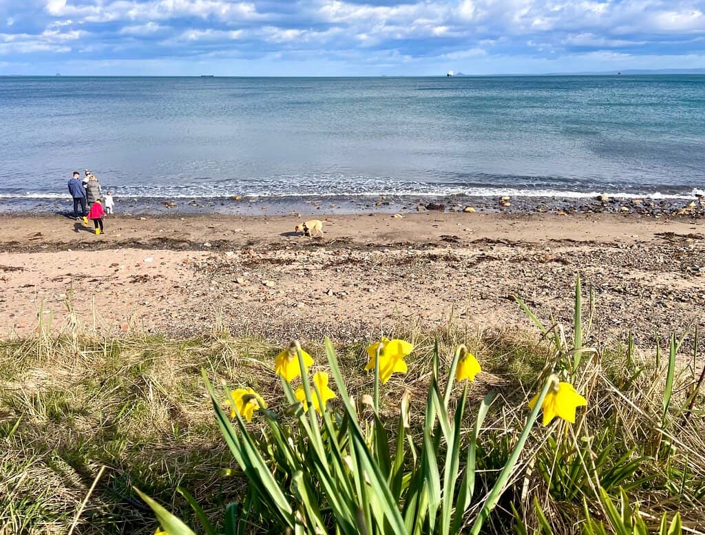 Coastal Path Views