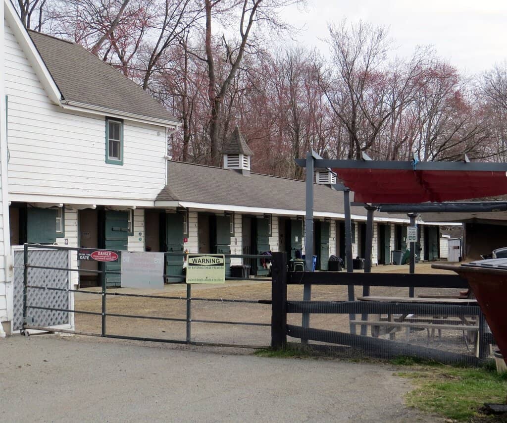 Equesthenics & Lessons