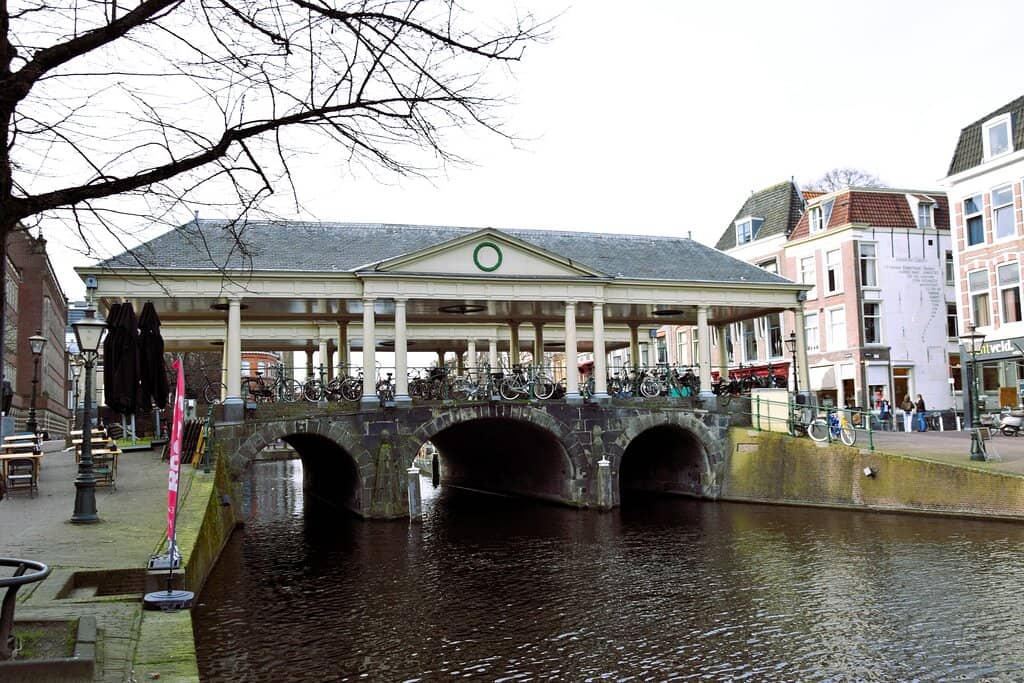 Canal Views