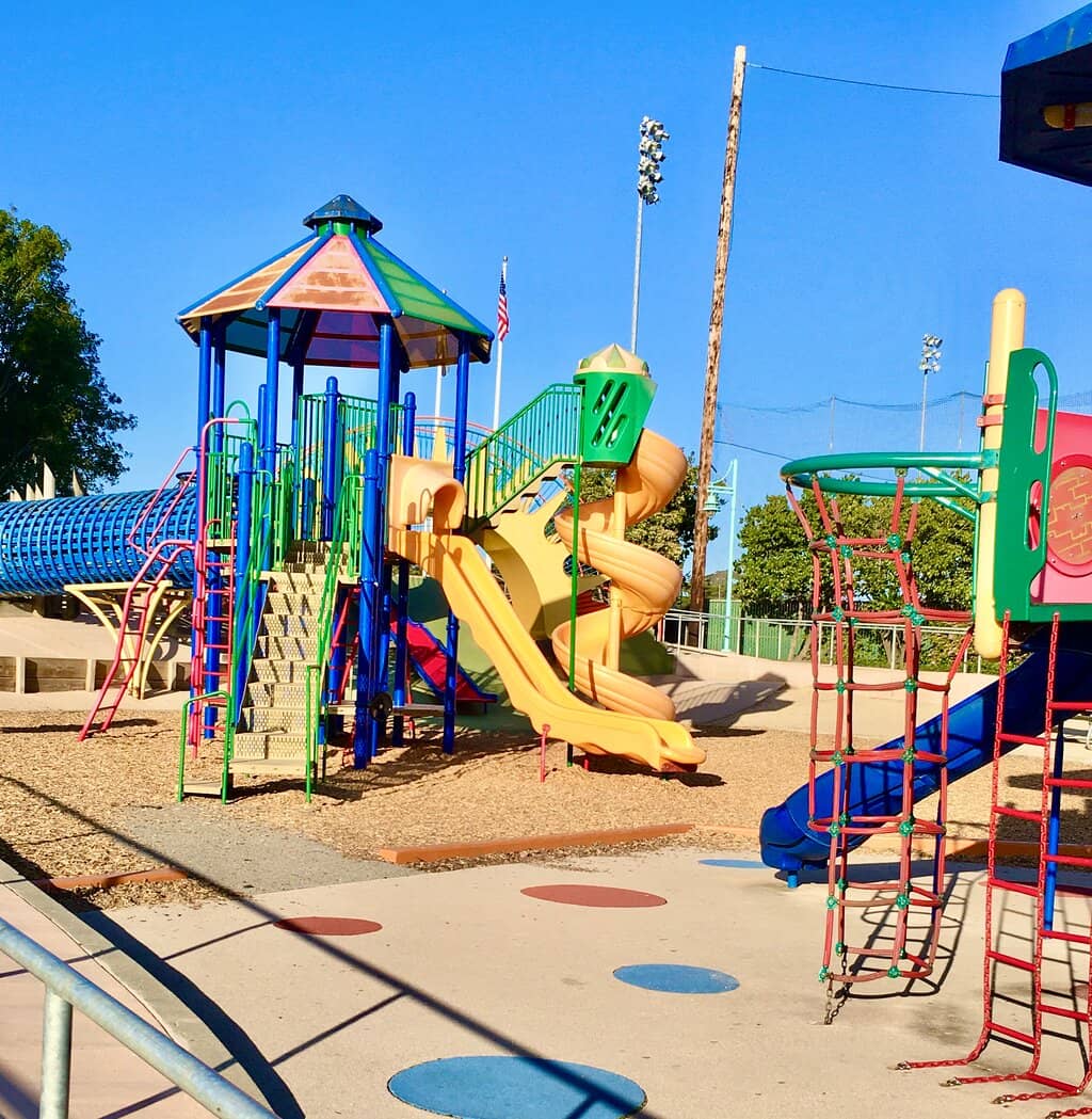 Dragon & Swan Paddleboats