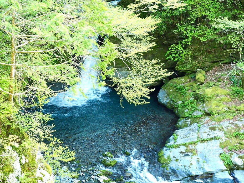 Serene Visitor Experience